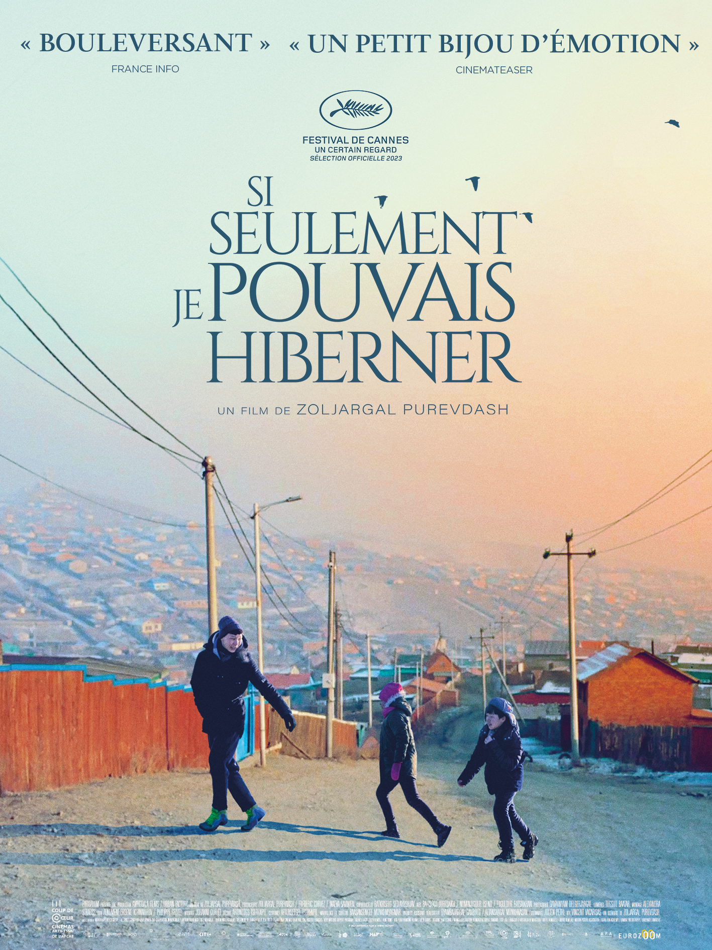 Affiche du film Si seulement je pouvais hiberner